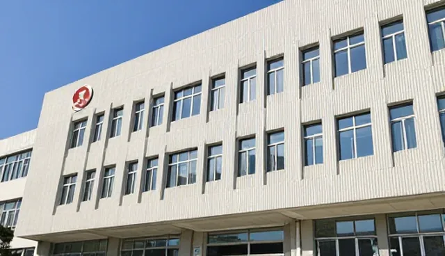 定制软件开发中的系统集成与维护建议